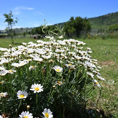 La Mora Selvatica - Nel Casa de hóspedes 3*