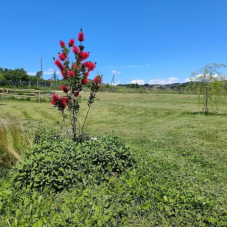 La Mora Selvatica 3* Campagnano Di Roma